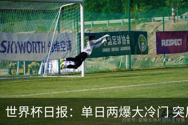 世界杯日报：单日两爆大冷门 突尼斯惨败后现换帅疑云